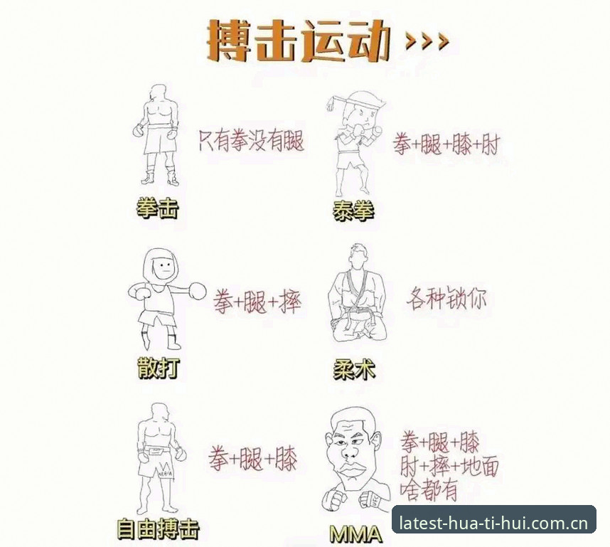 华体会运动脉搏掌握指南：2024移动端功能详解与实战技巧